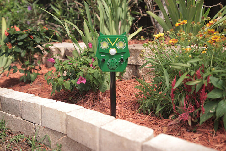 STARLYF OWL GUARDS – Repelente de Animais