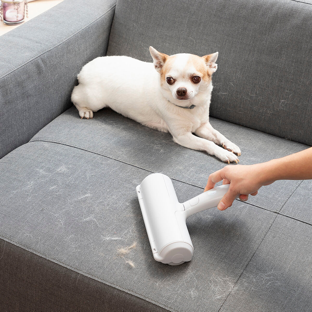 Rodillo Depilatorio para Mascotas Rellair InnovaGoods