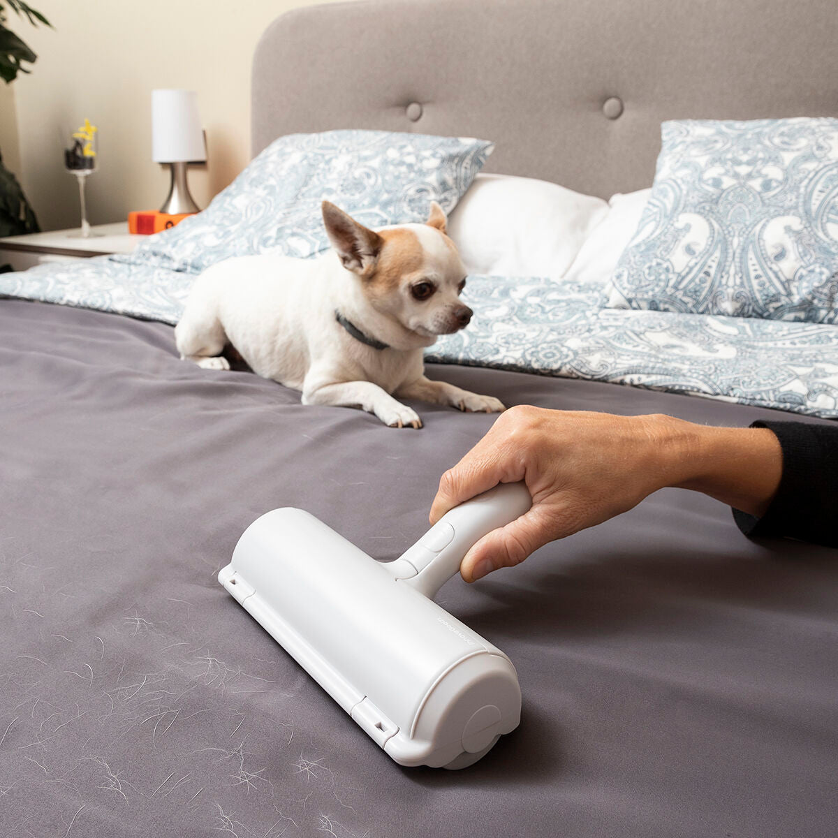 Rodillo Depilatorio para Mascotas Rellair InnovaGoods